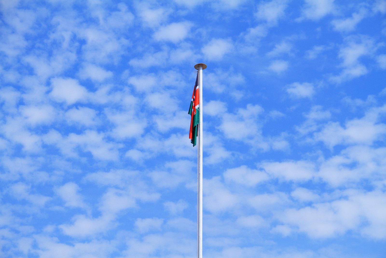 Kenyan Flag
