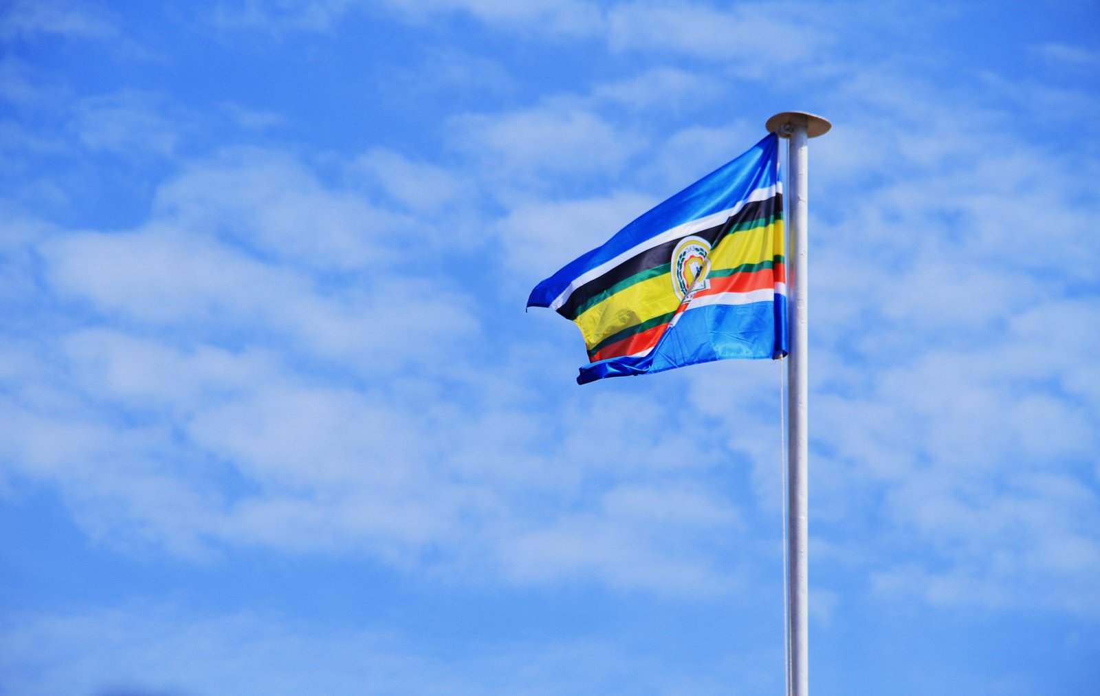 East African community Flag