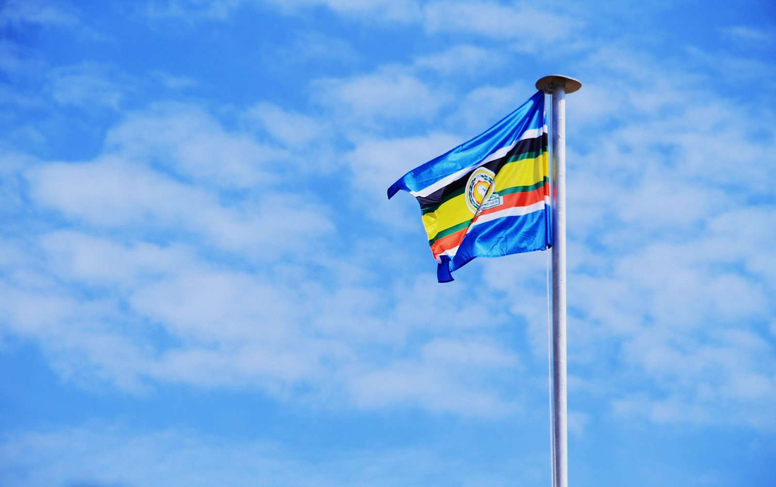 East African community Flag