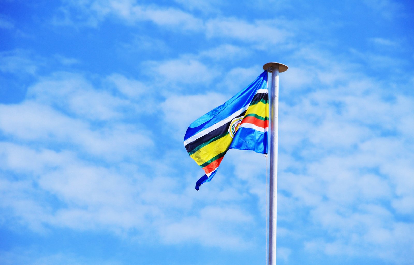 East African community Flag