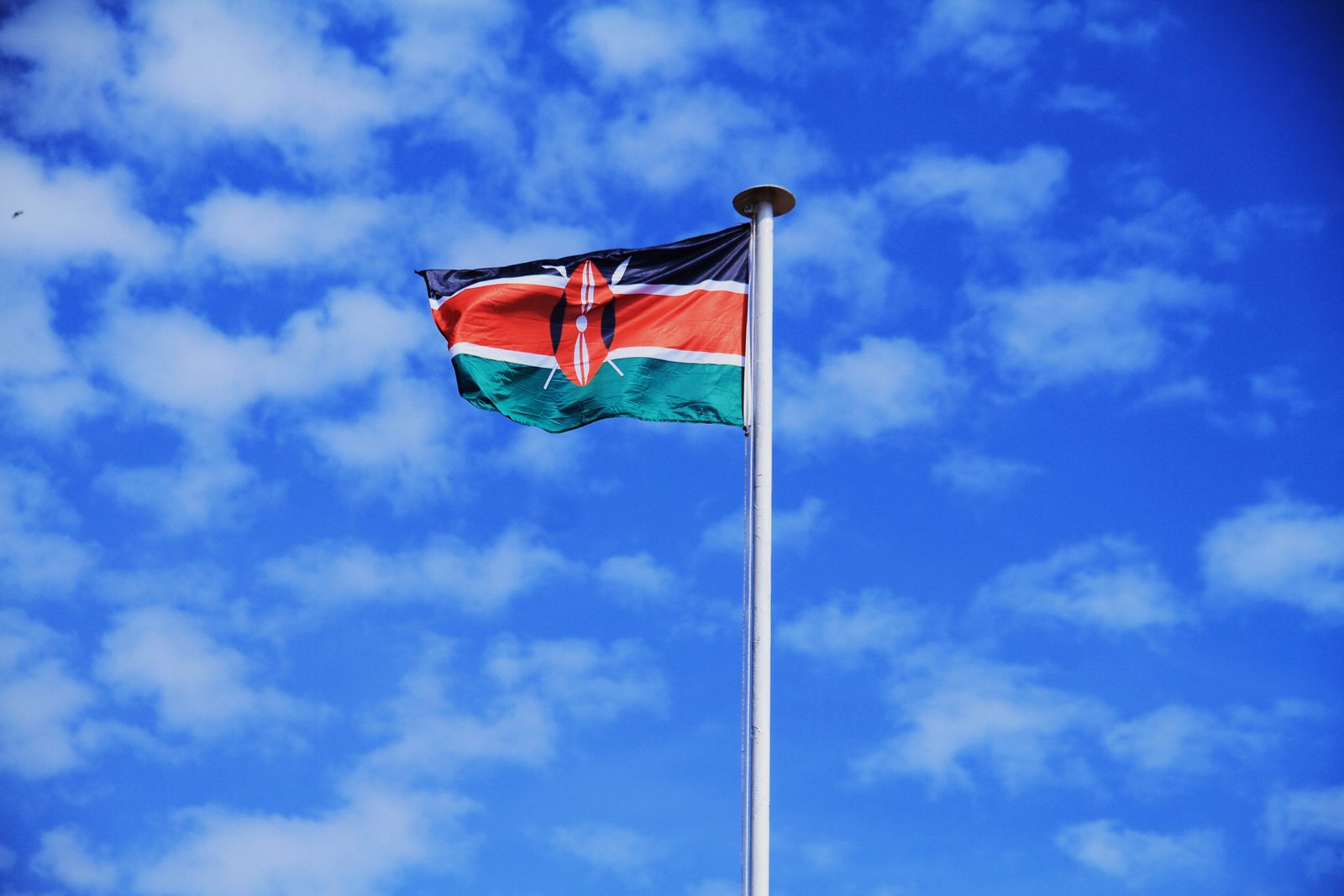 Kenyan Flag