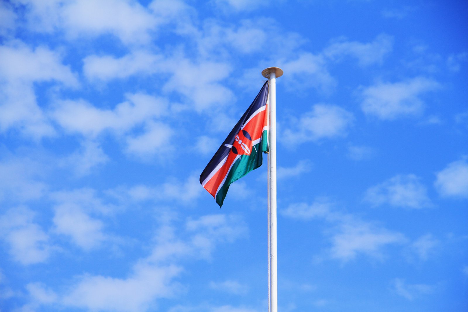 Kenyan Flag