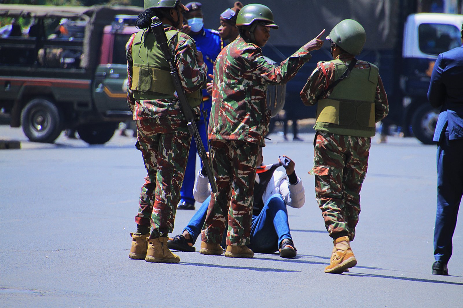 Activist/Demonstrator