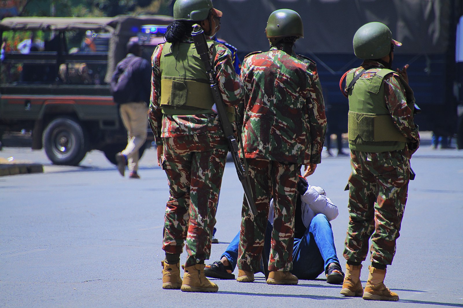 Activist/Demonstrator