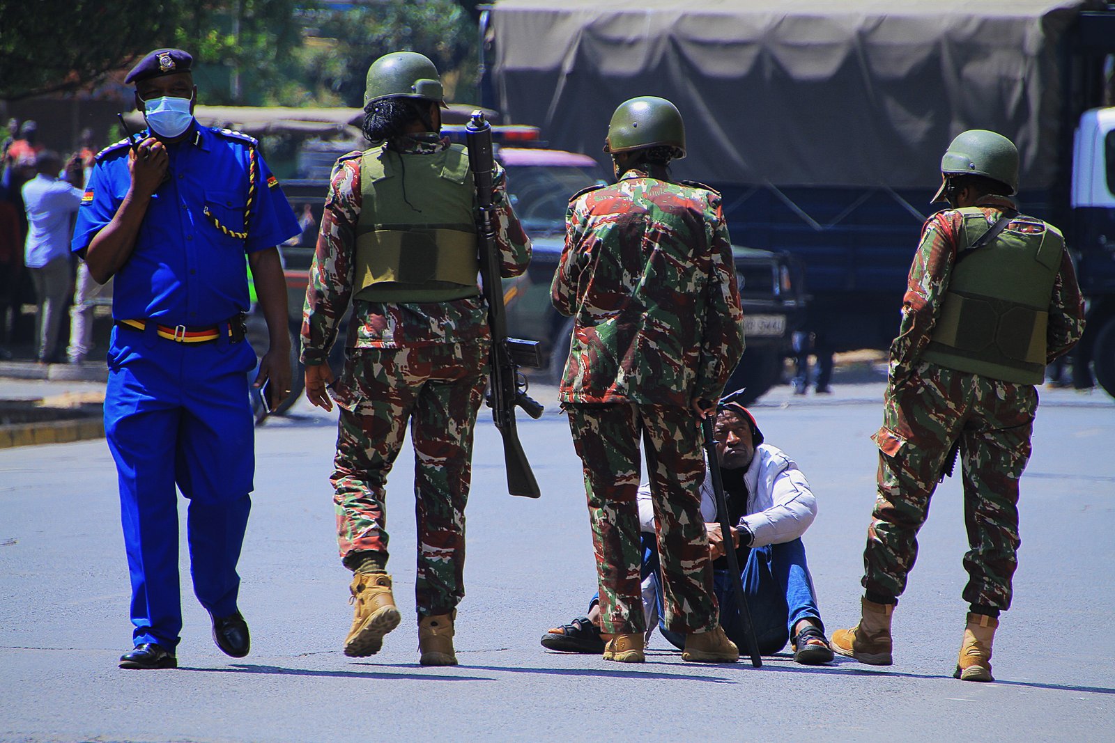 Activist/Demonstrator