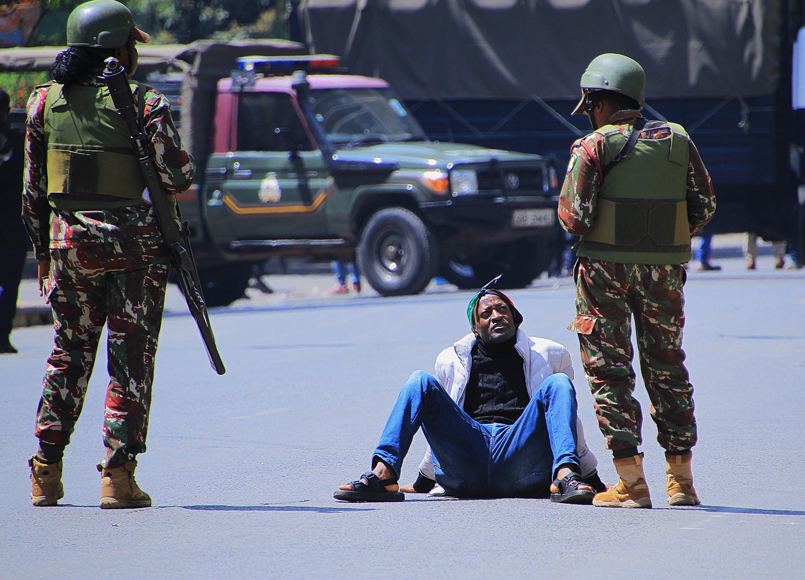 Activist/Demonstrator