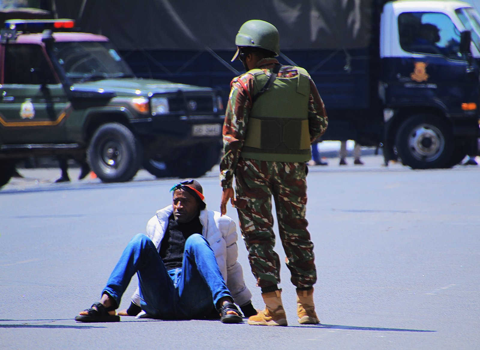 Activist/Demonstrator