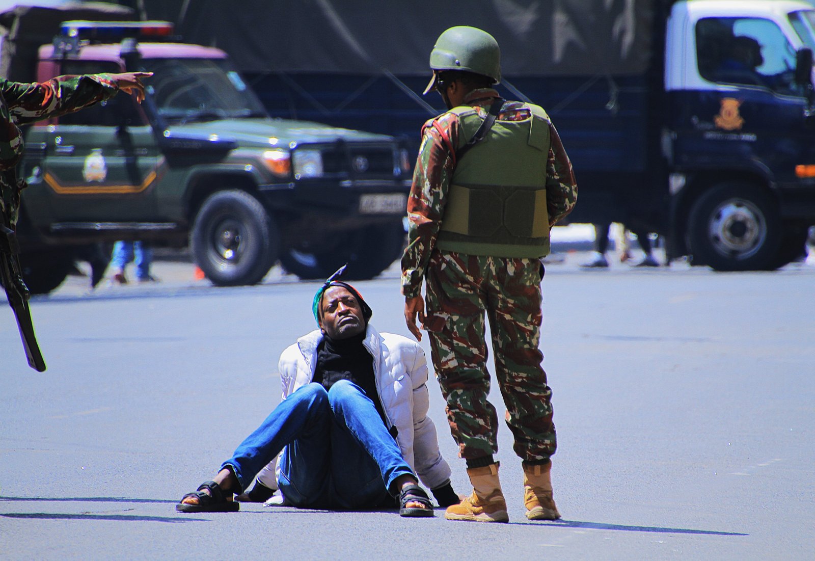 Activist/Demonstrator