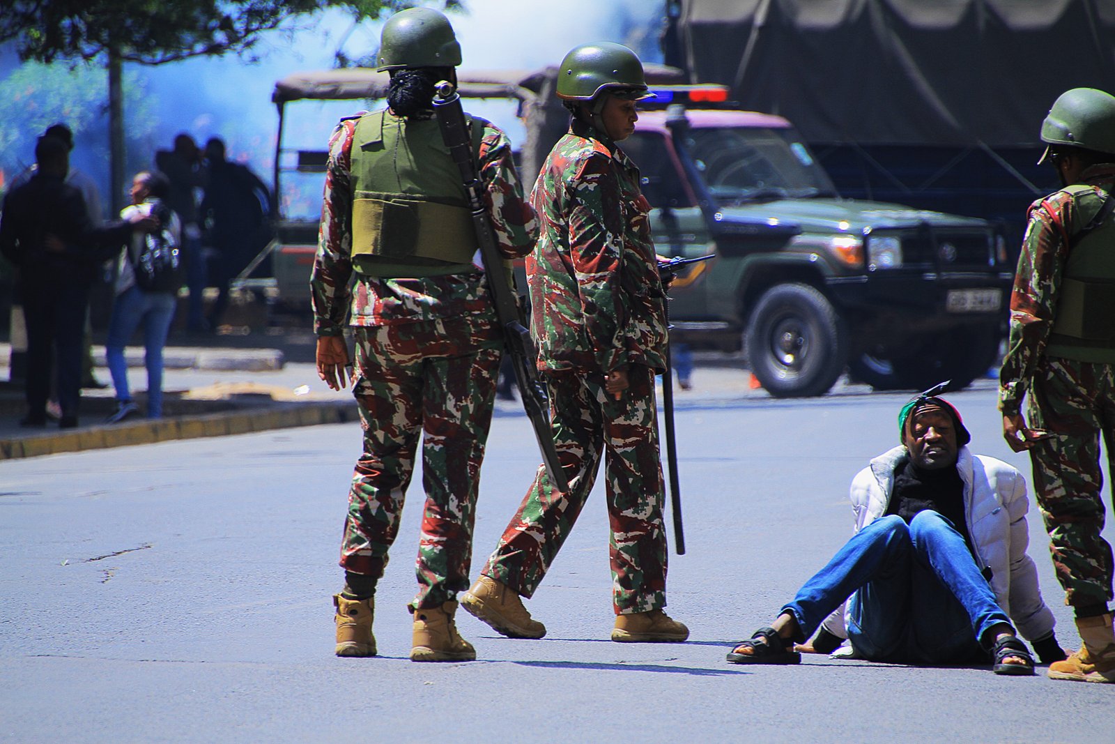 Activist/Demonstrator