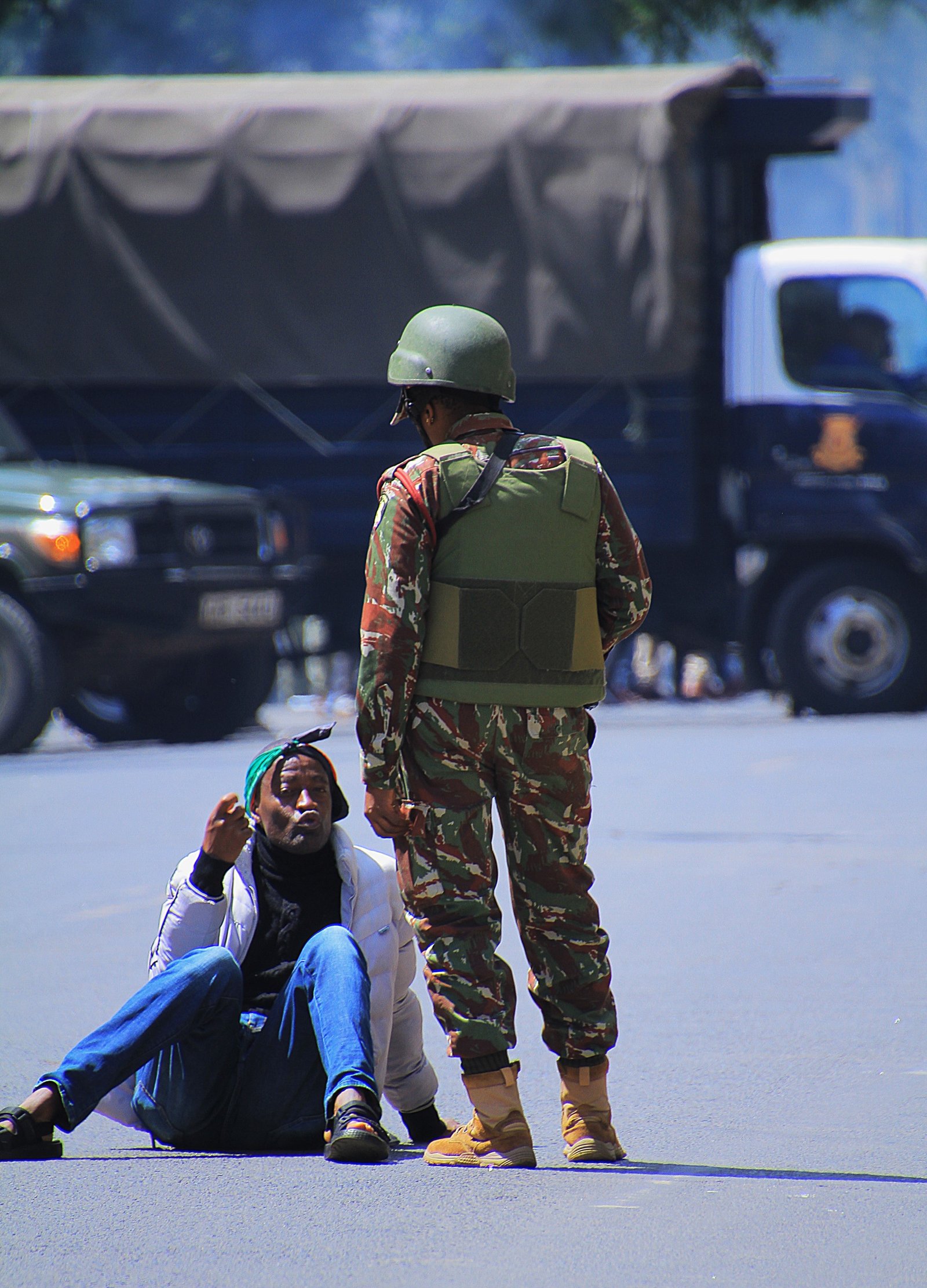 Activist/Demonstrator