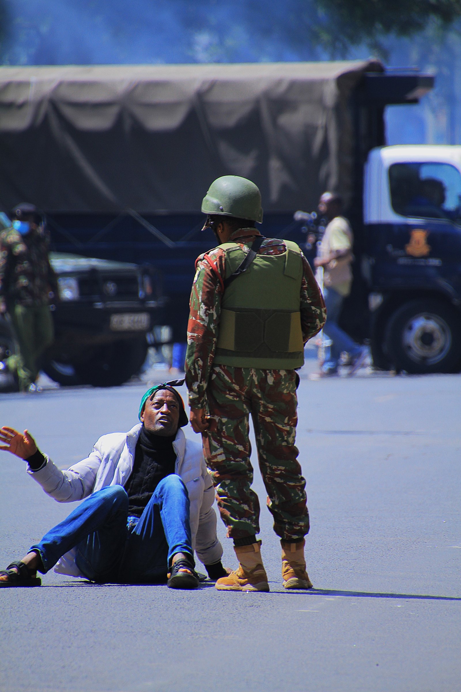 Activist/Demonstrator