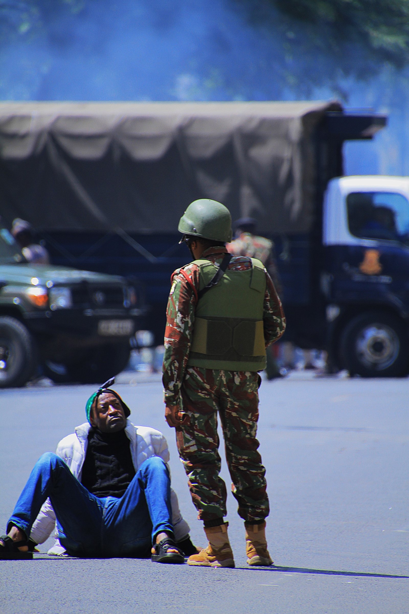 Activist/Demonstrator