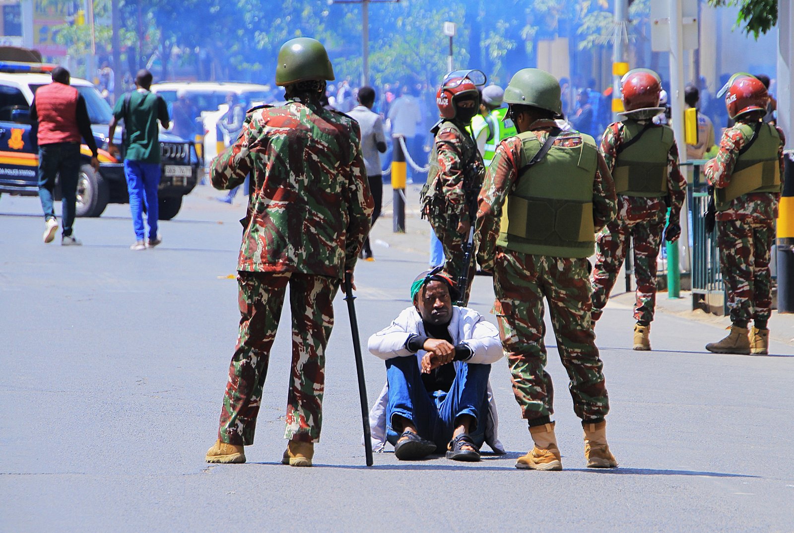 Activist/Demonstrator