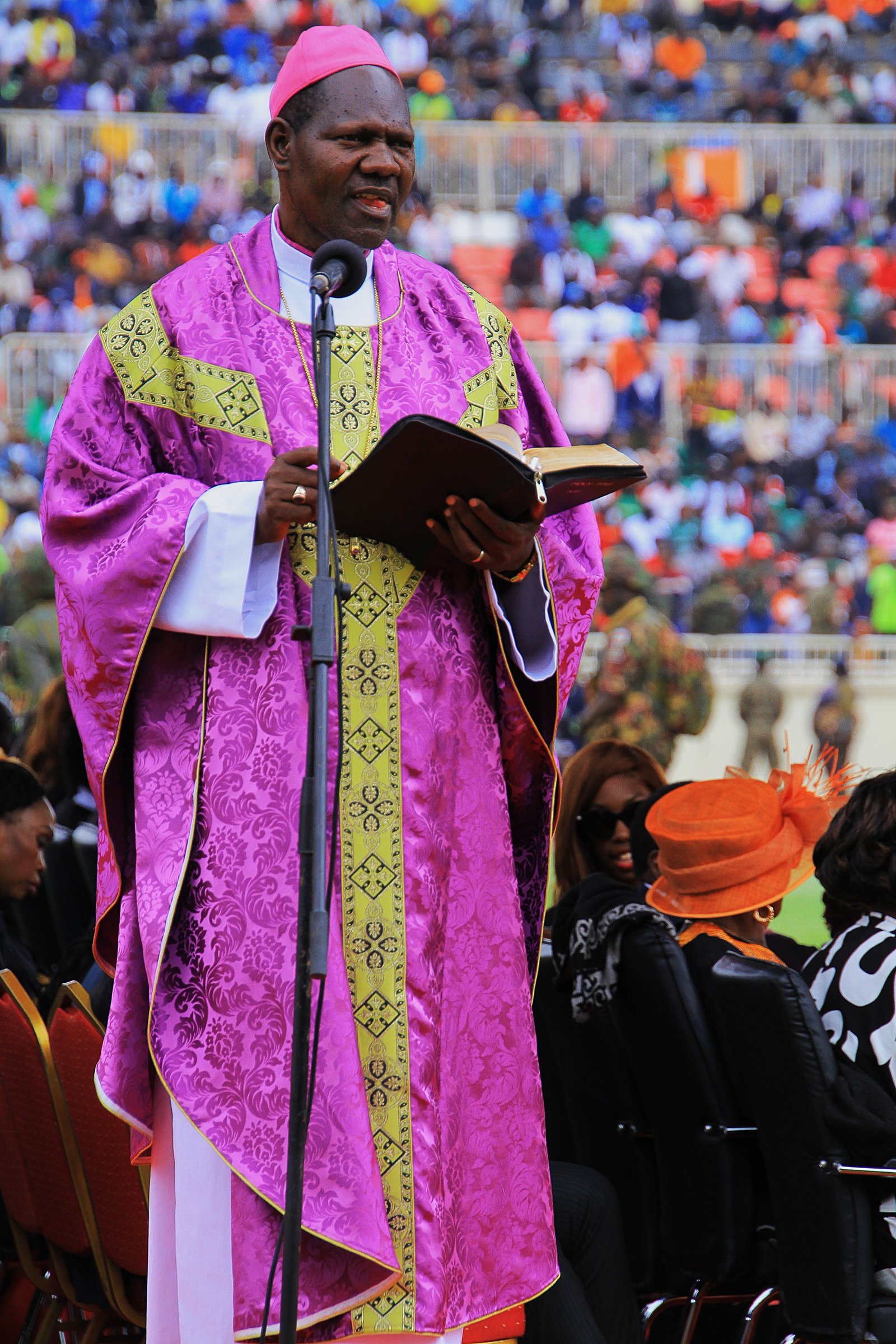 David Hellington Kodia