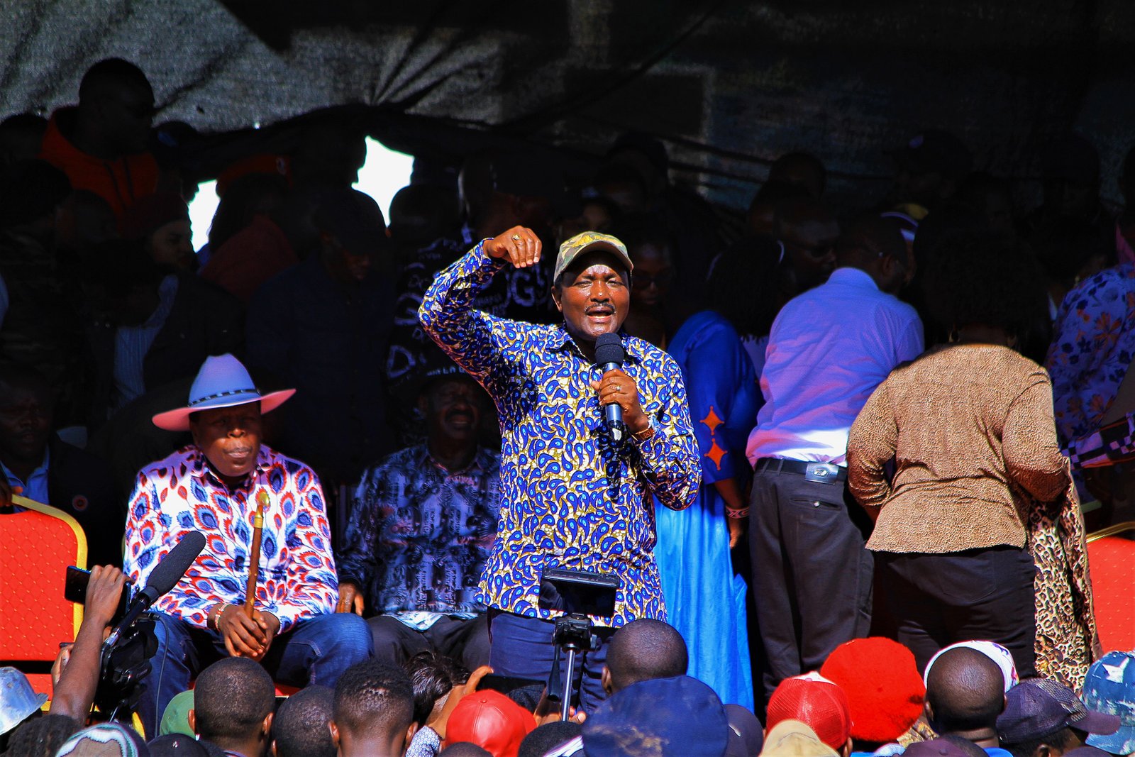 Stephen Kalonzo Musyoka