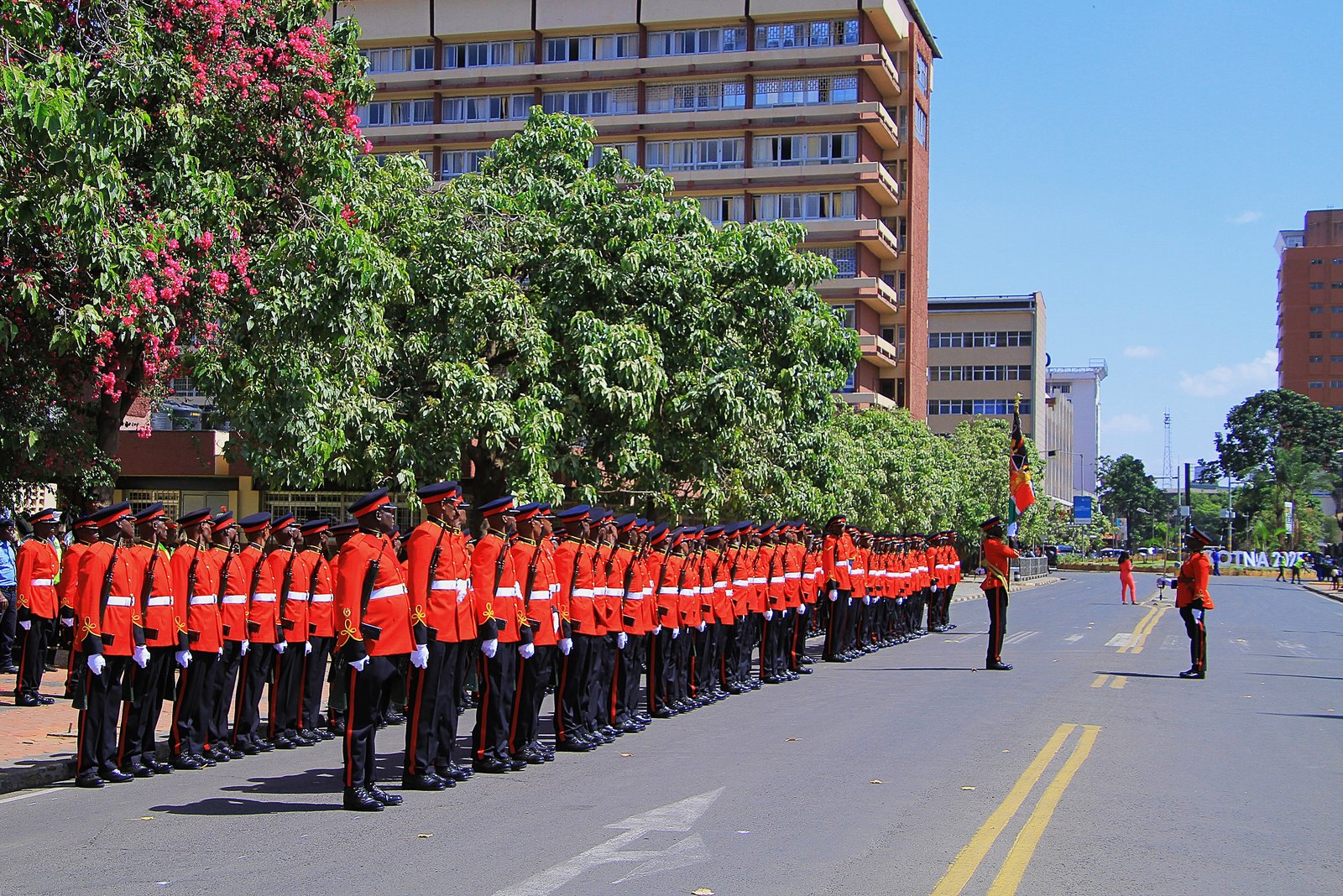 Kenya Defence Forces