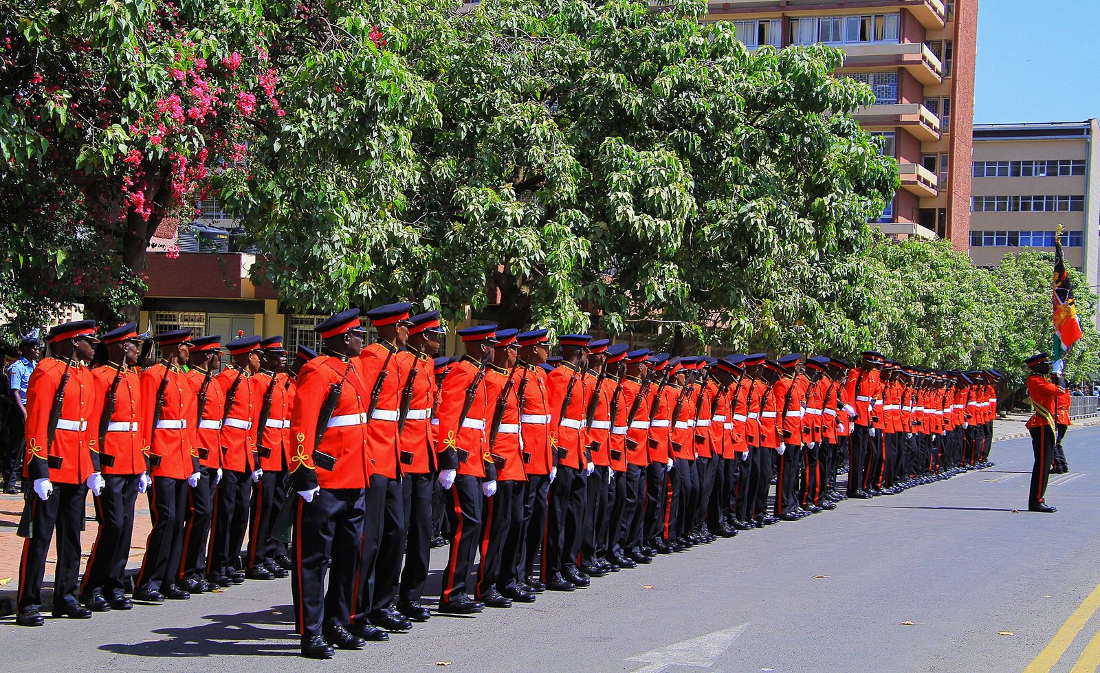 Kenya Defence Forces