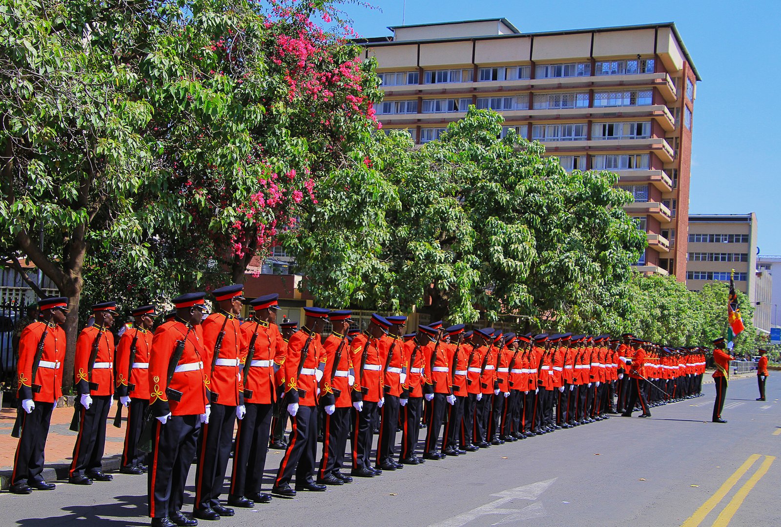 Kenya Defence Forces