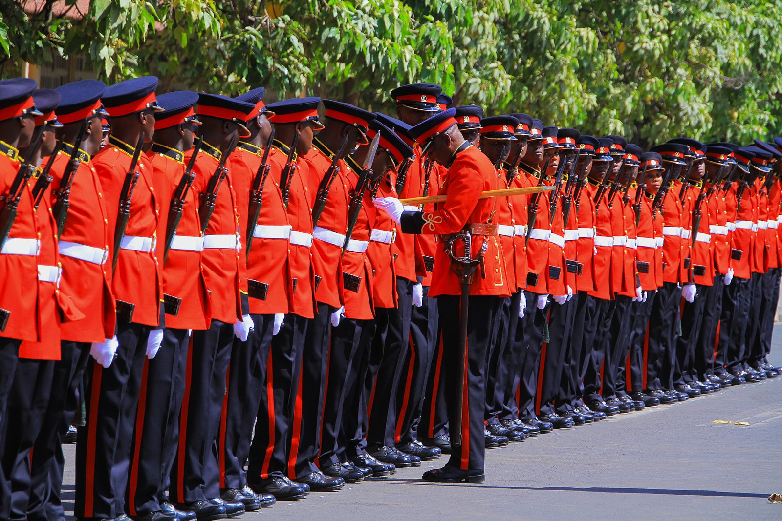 Kenya Defence Forces