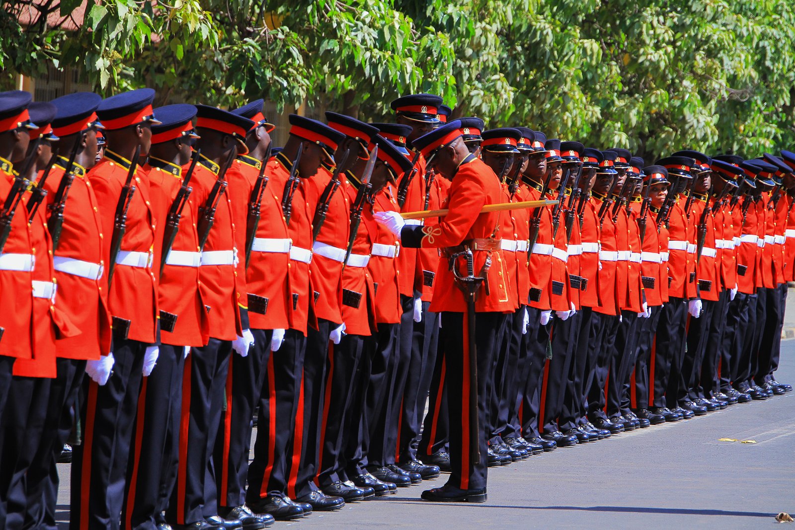 Kenya Defence Forces