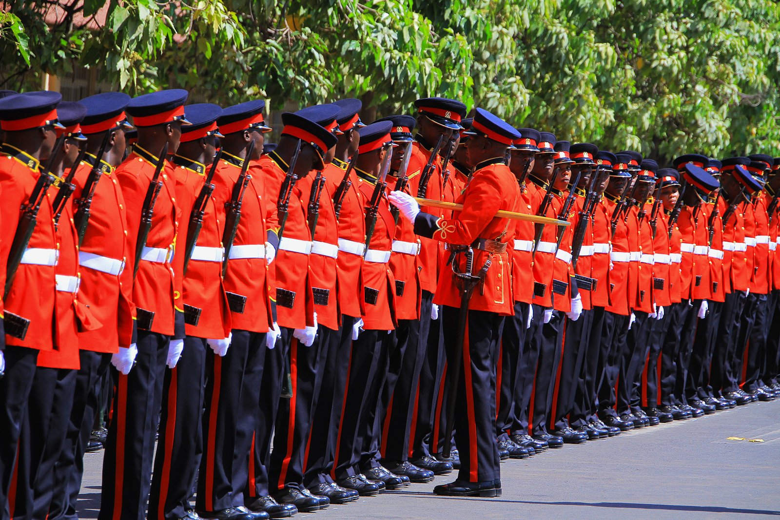 Kenya Defence Forces