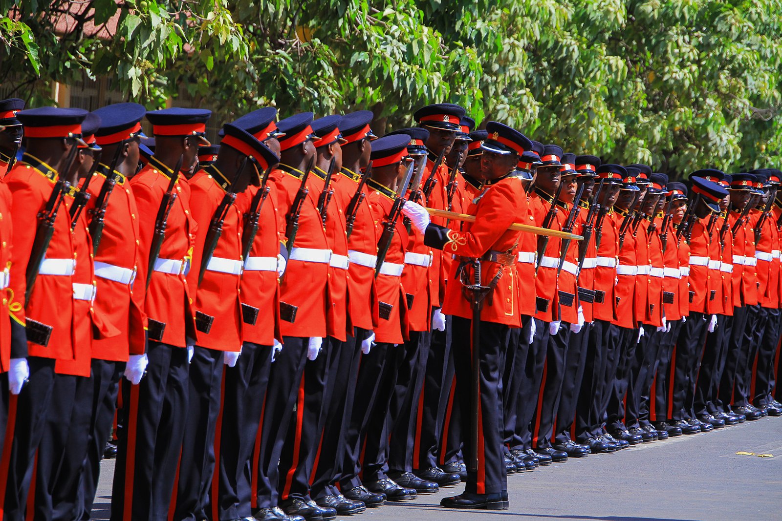 Kenya Defence Forces