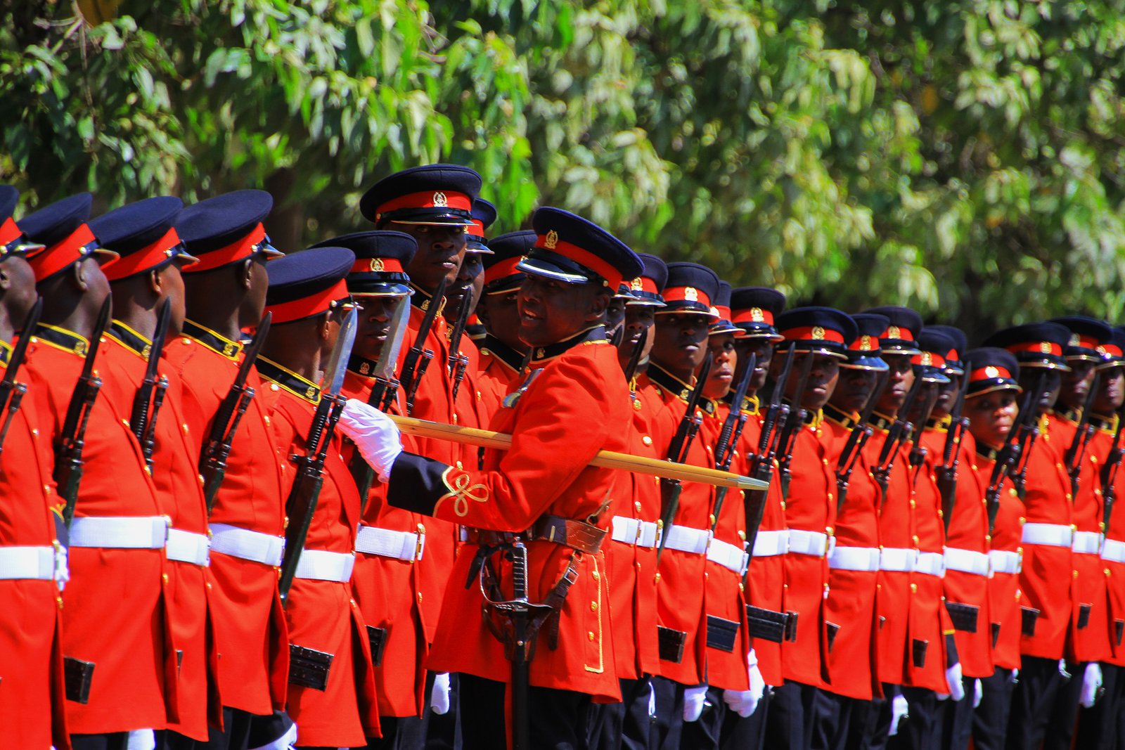 Kenya Defence Forces