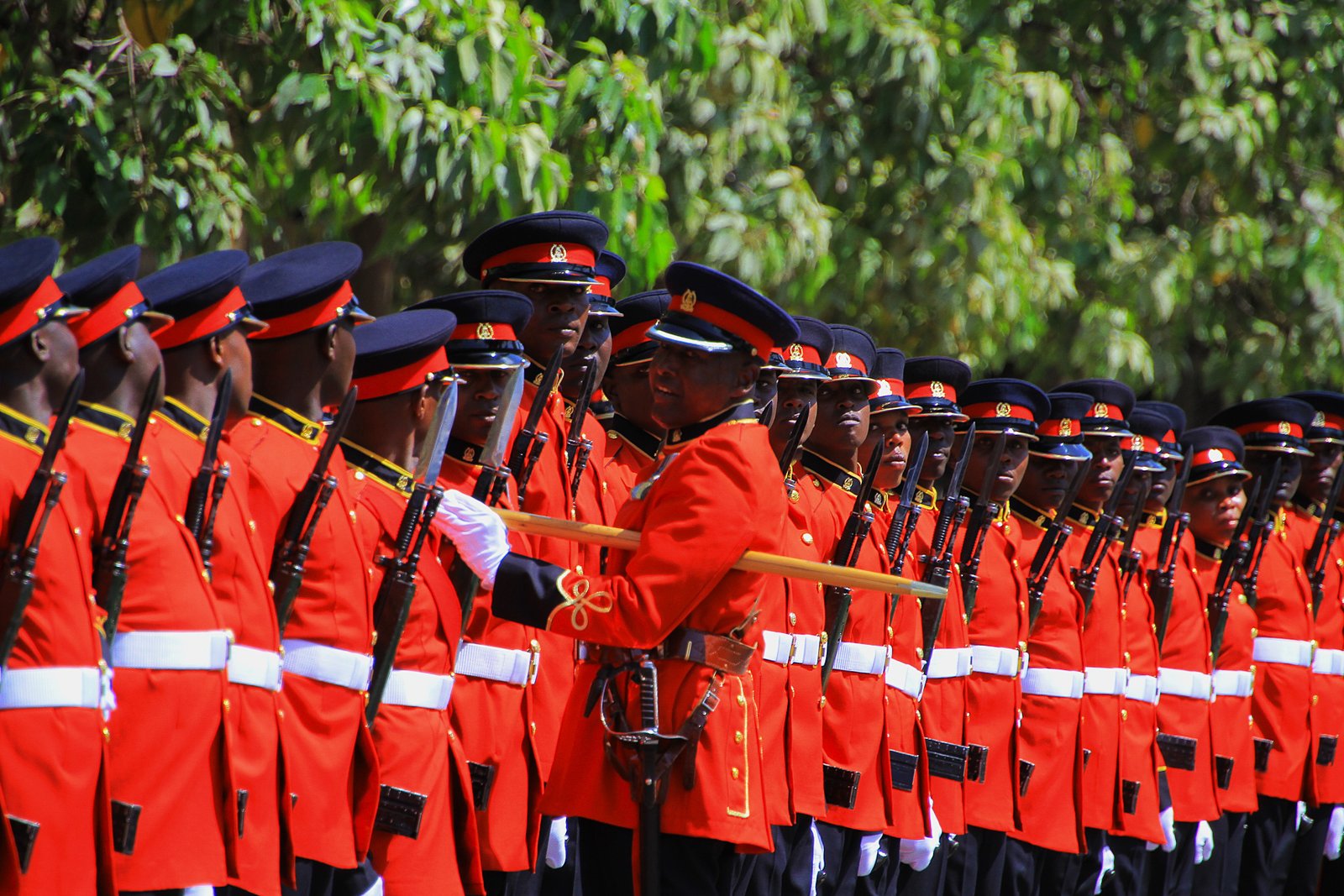 Kenya Defence Forces
