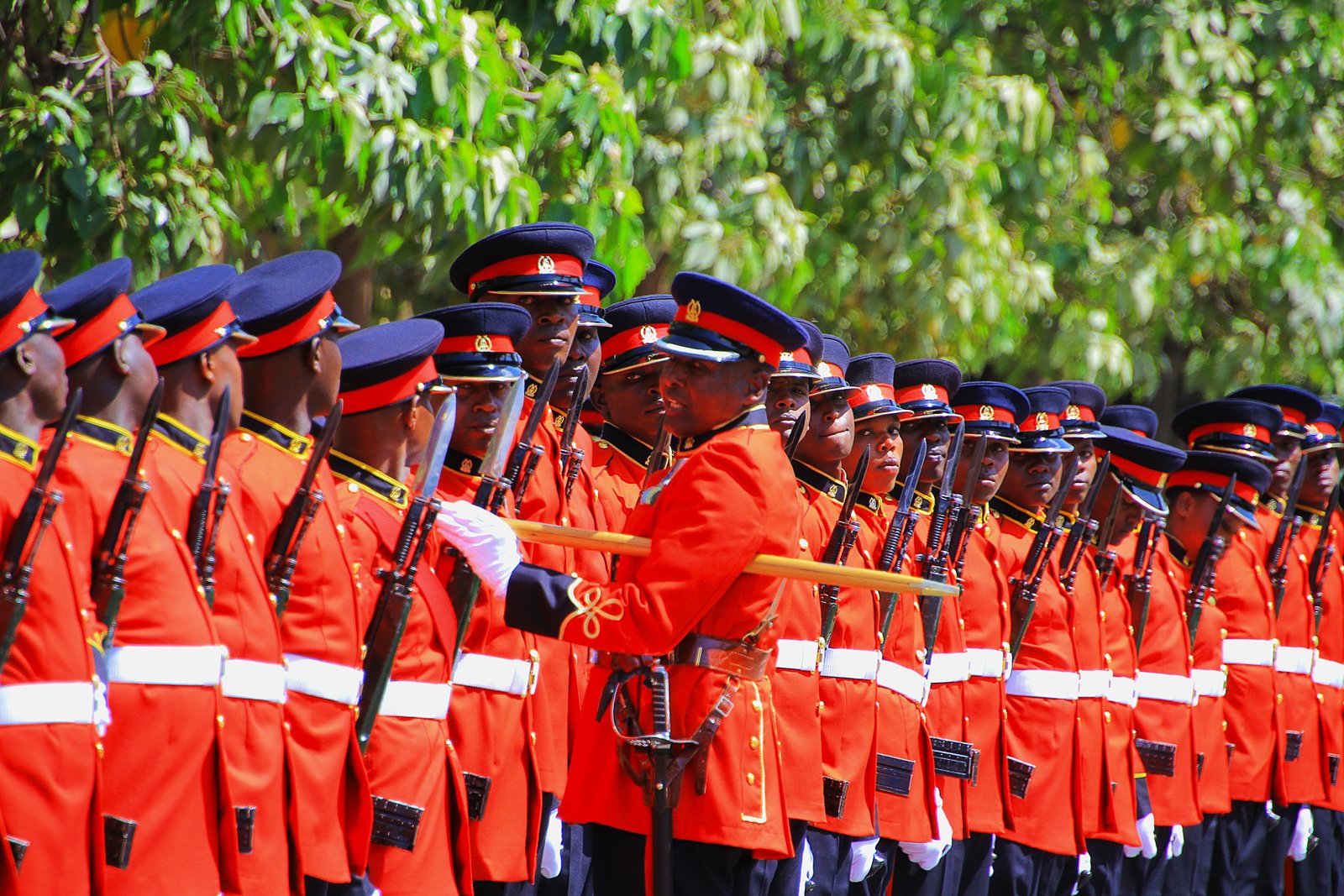 Kenya Defence Forces
