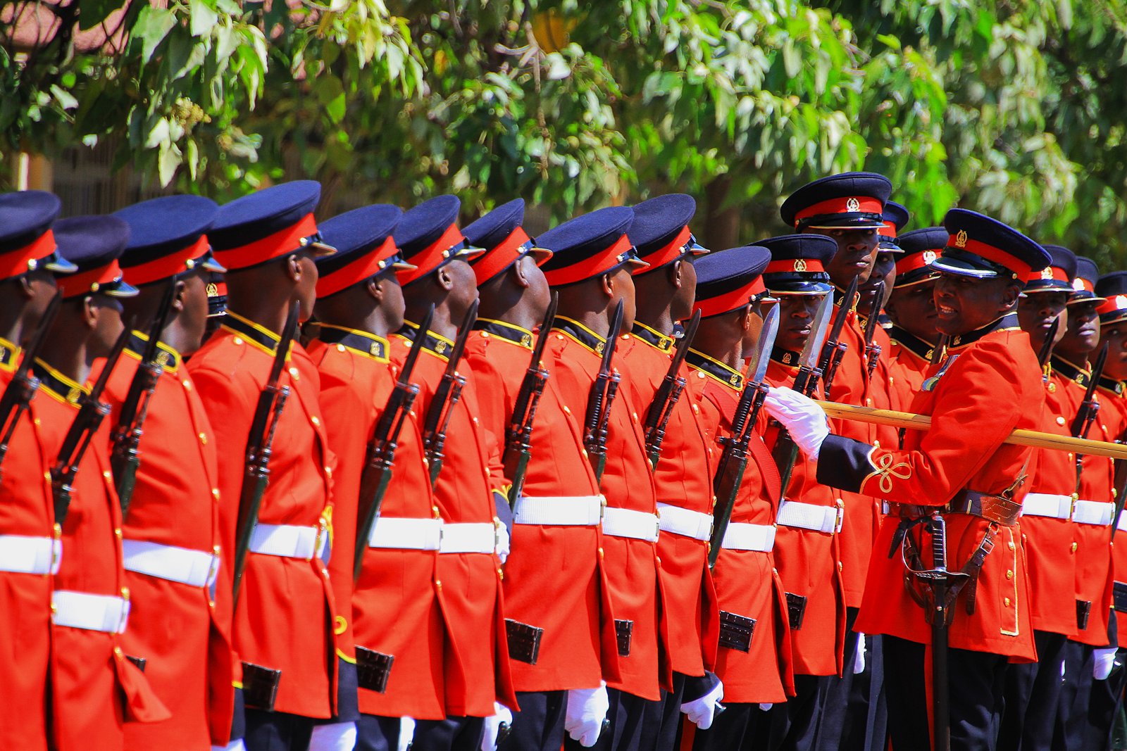 Kenya Defence Forces