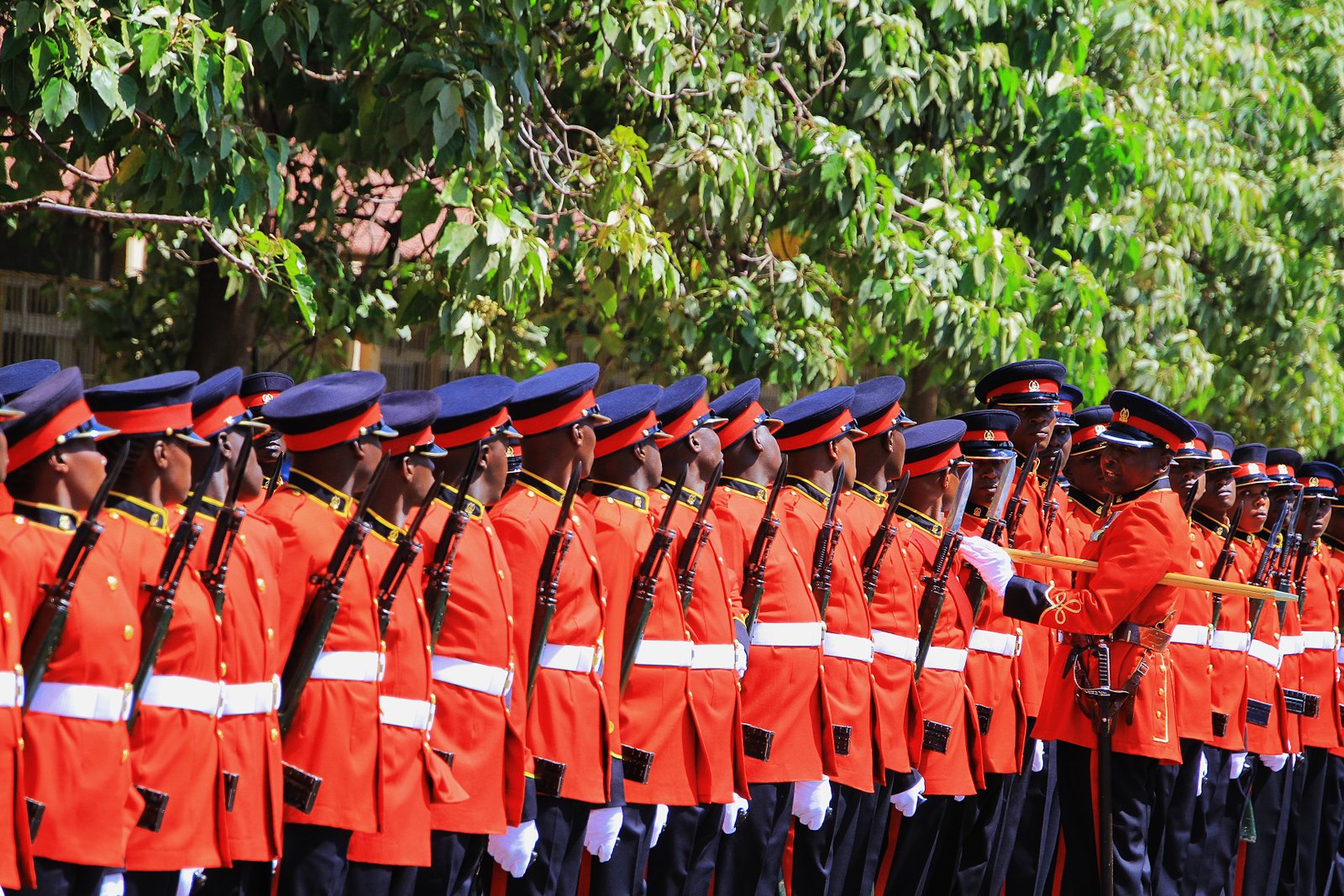 Kenya Defence Forces