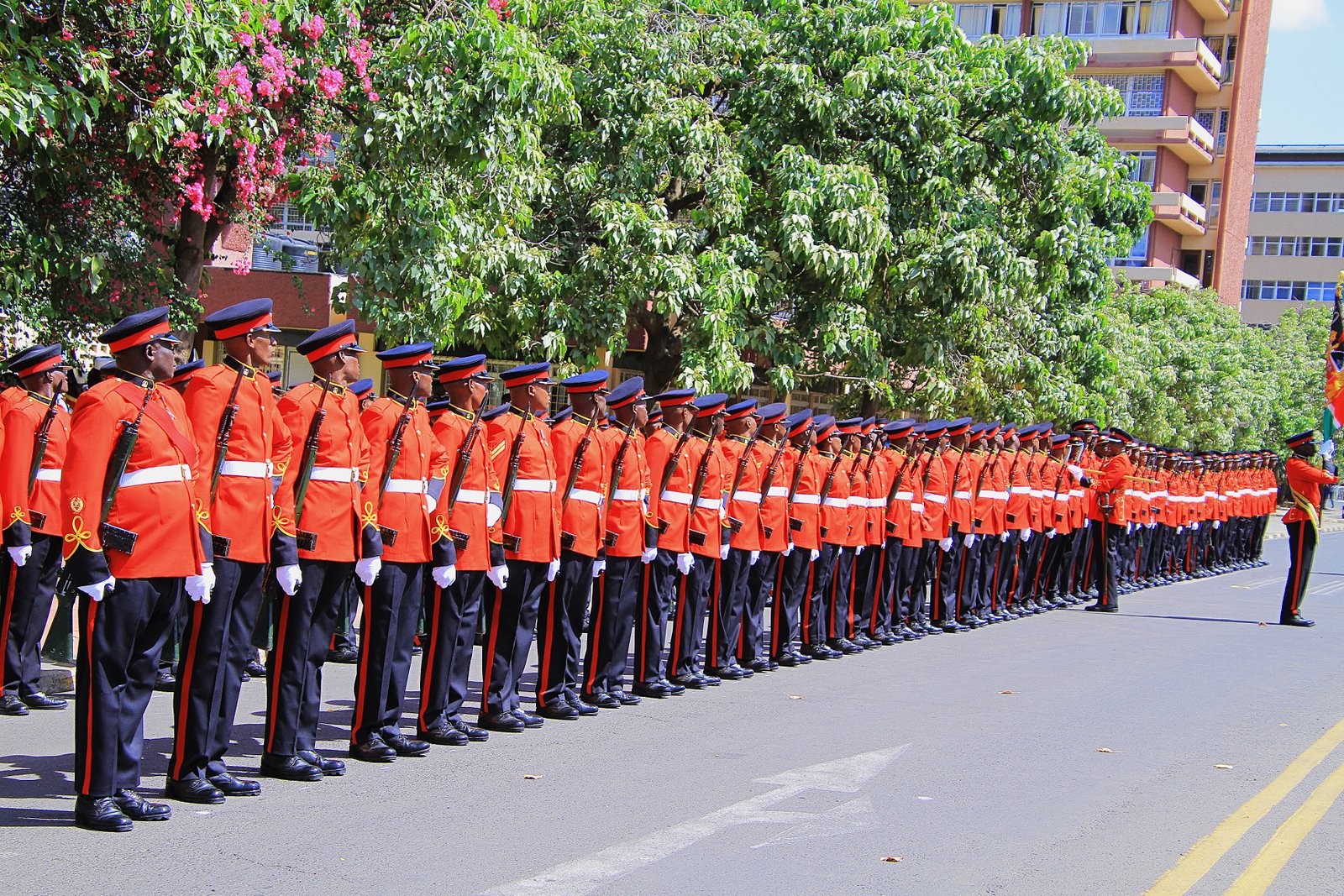 Kenya Defence Forces