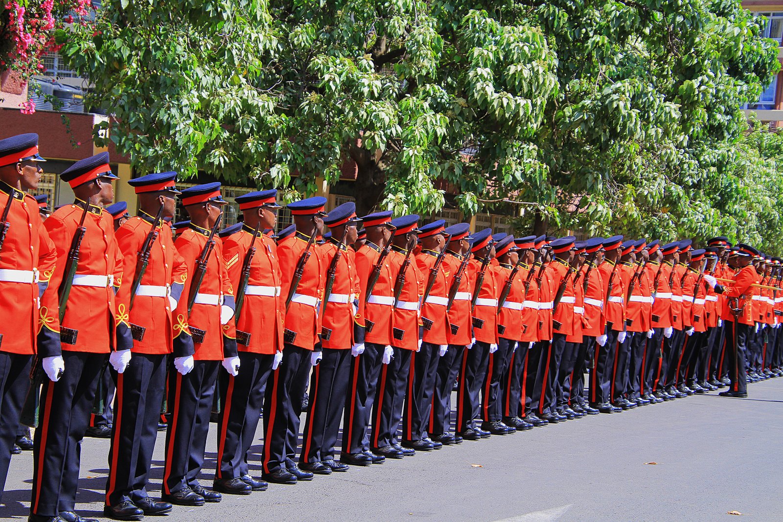 Kenya Defence Forces