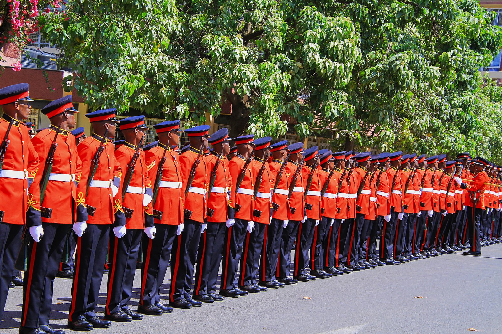 Kenya Defence Forces