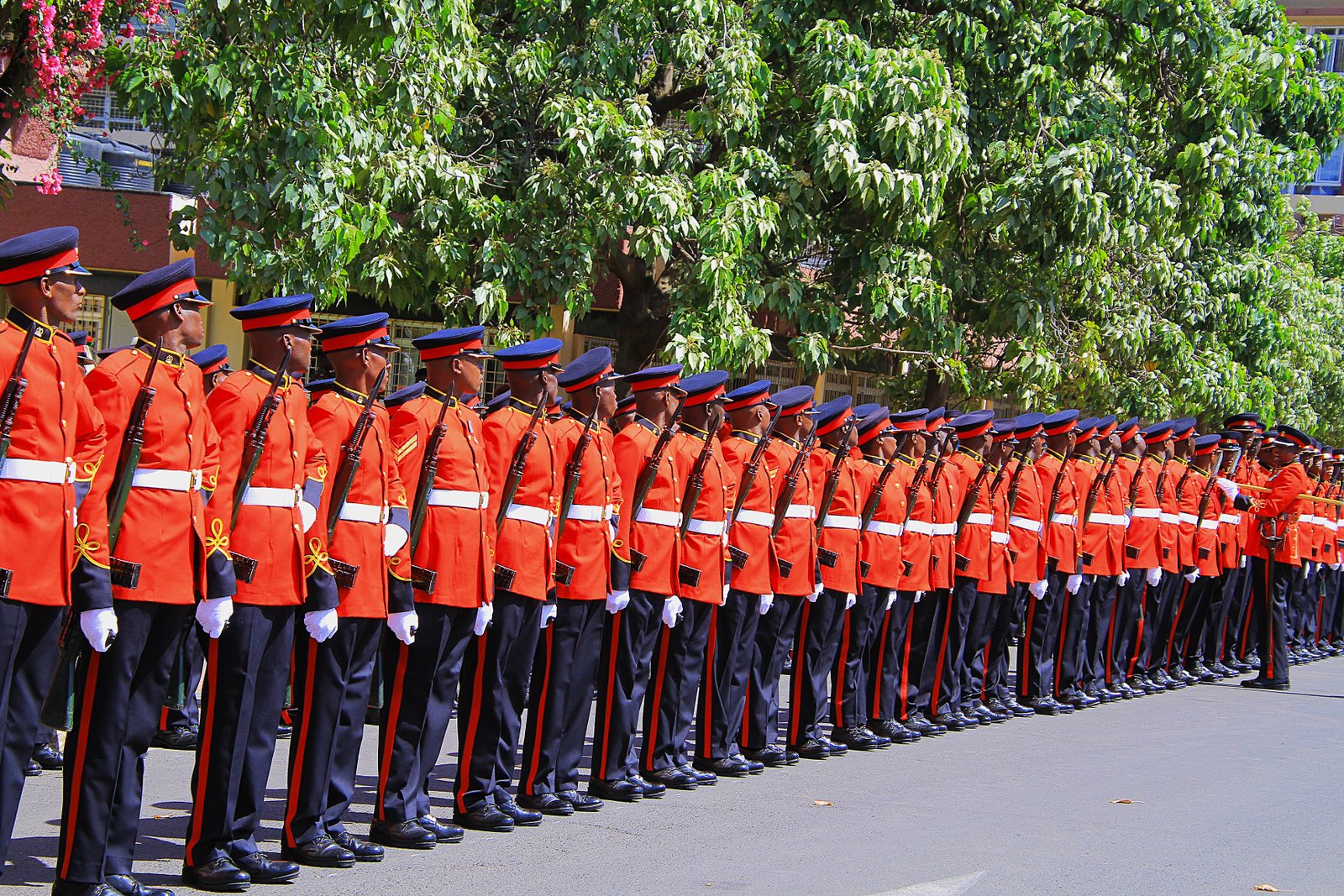 Kenya Defence Forces