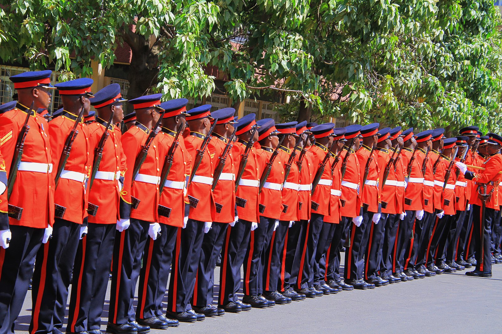 Kenya Defence Forces