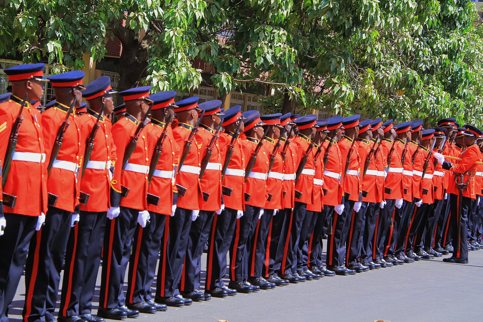 Kenya Defence Forces