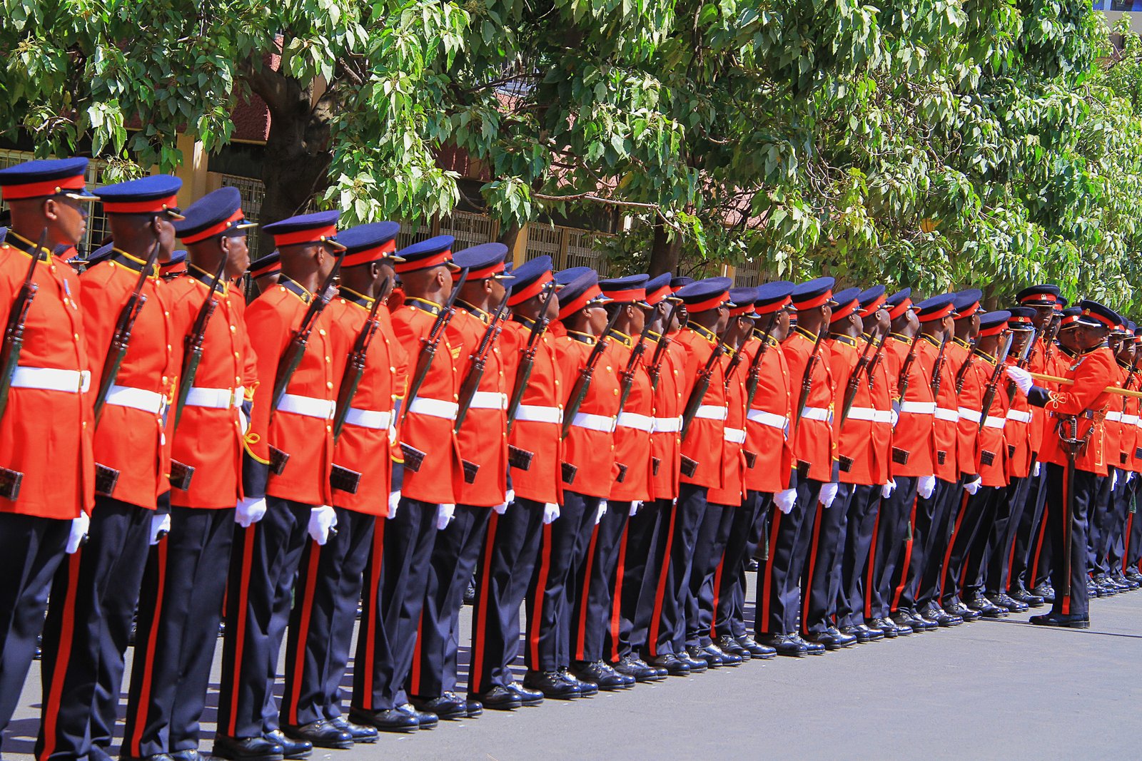 Kenya Defence Forces