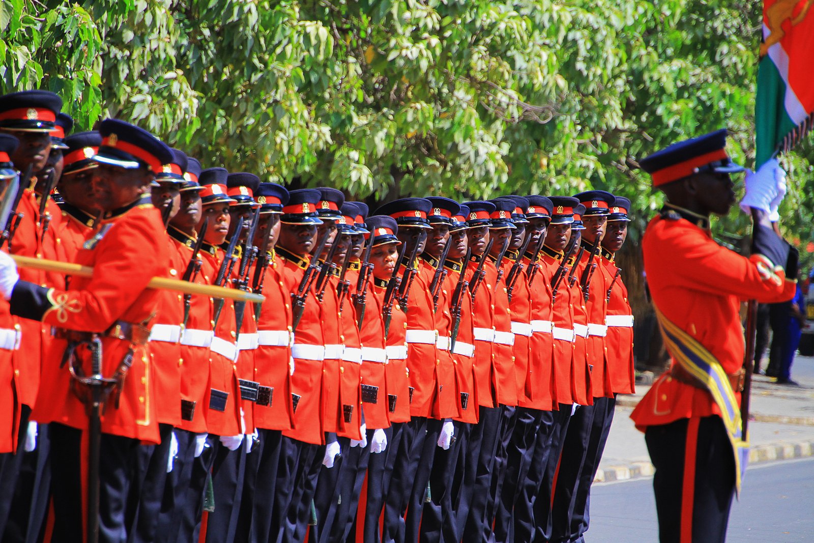 Kenya Defence Forces