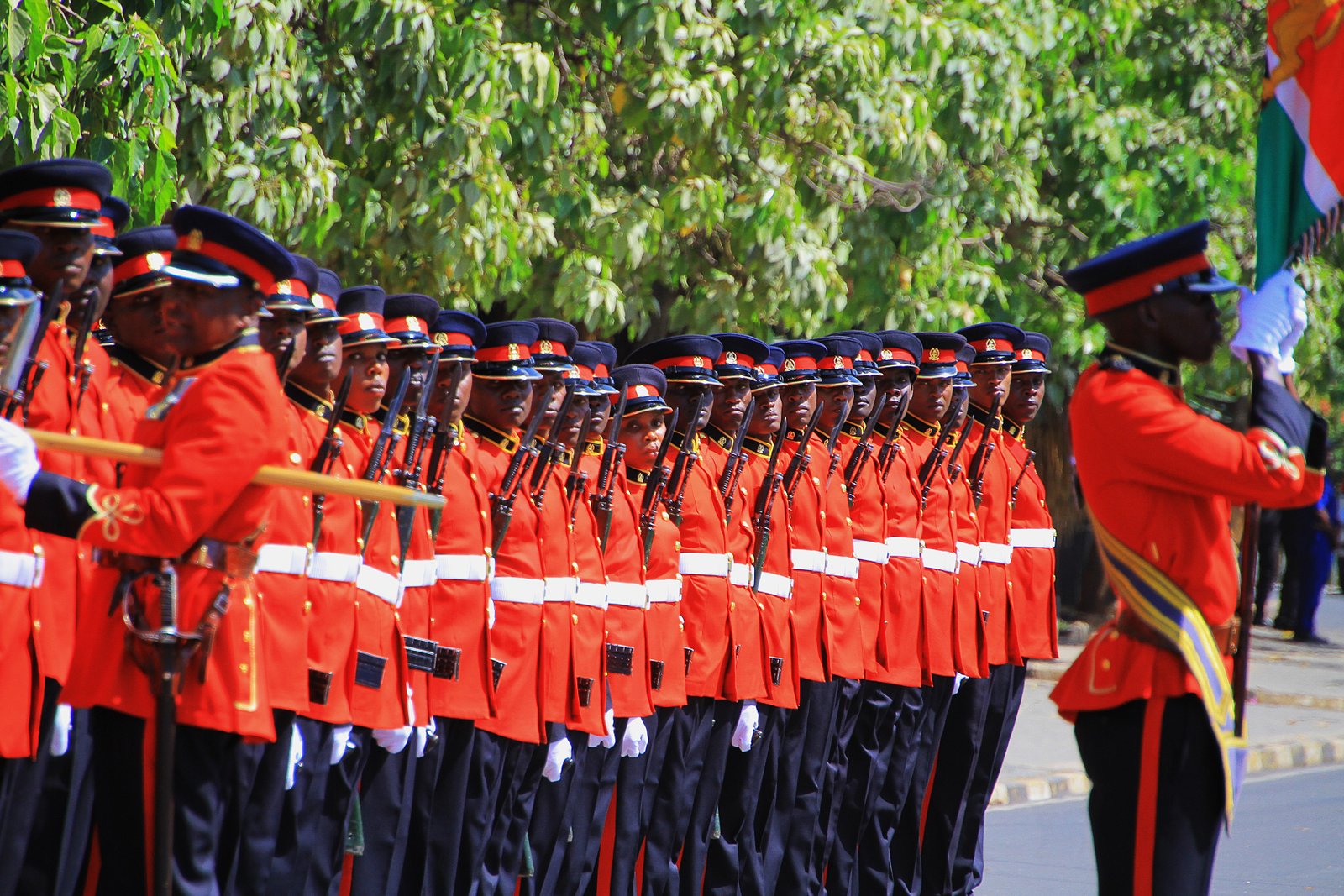 Kenya Defence Forces