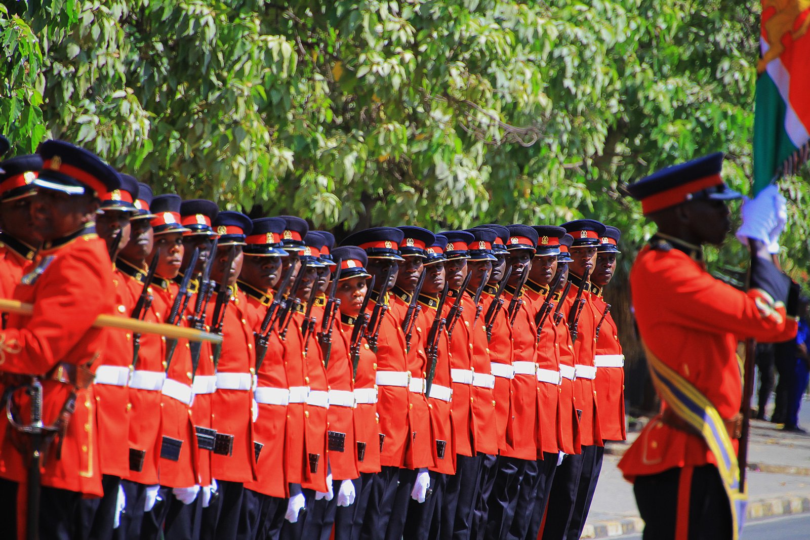 Kenya Defence Forces