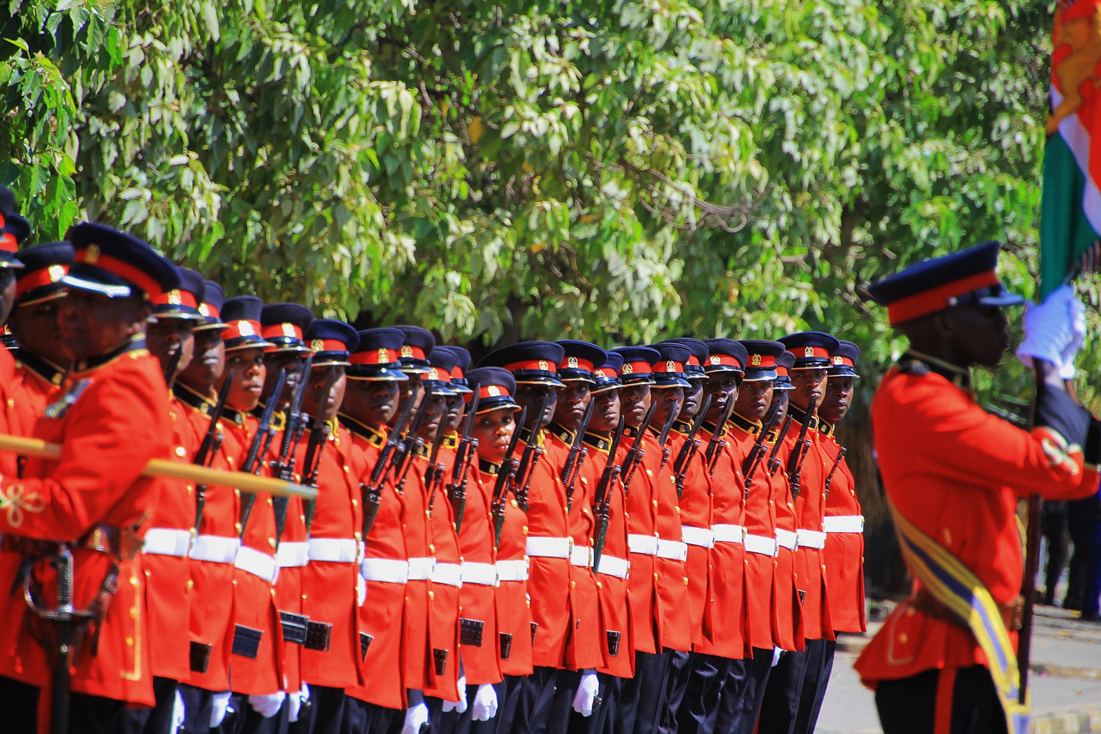 Kenya Defence Forces
