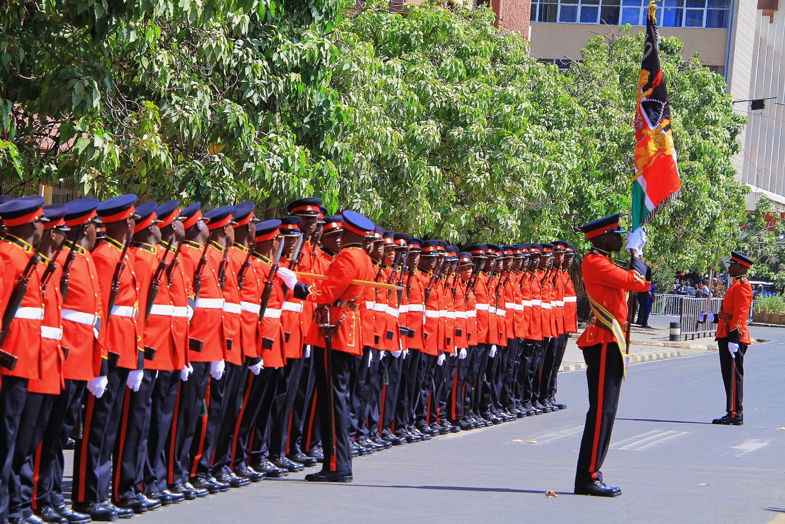 Kenya Defence Forces