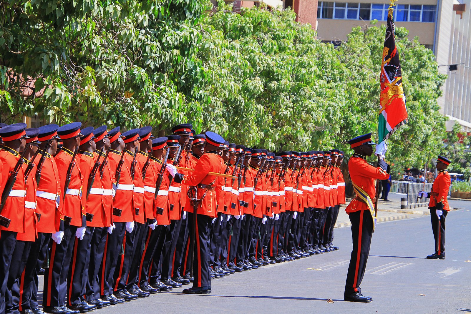 Kenya Defence Forces