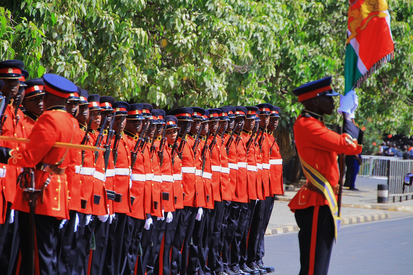 Kenya Defence Forces