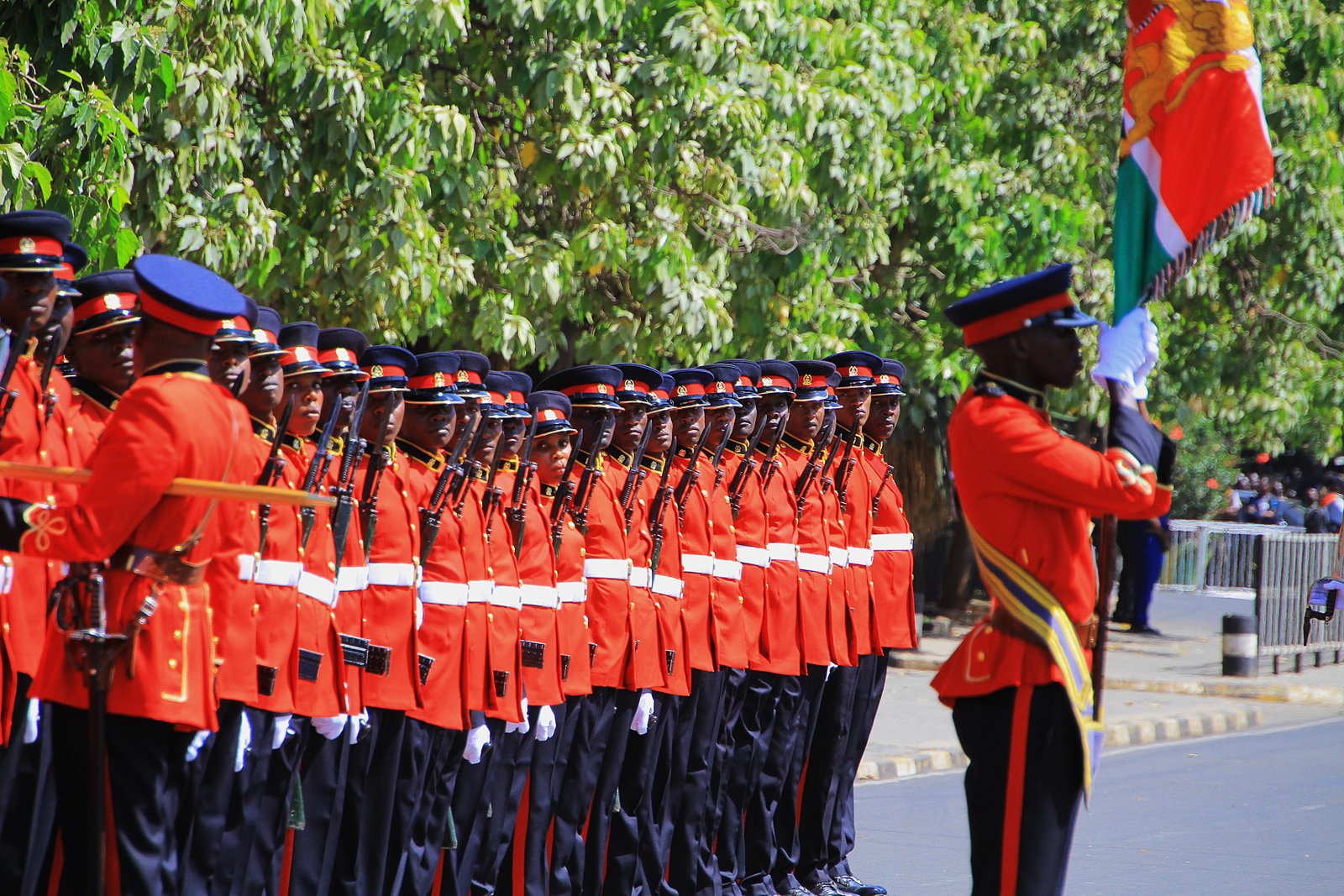 Kenya Defence Forces