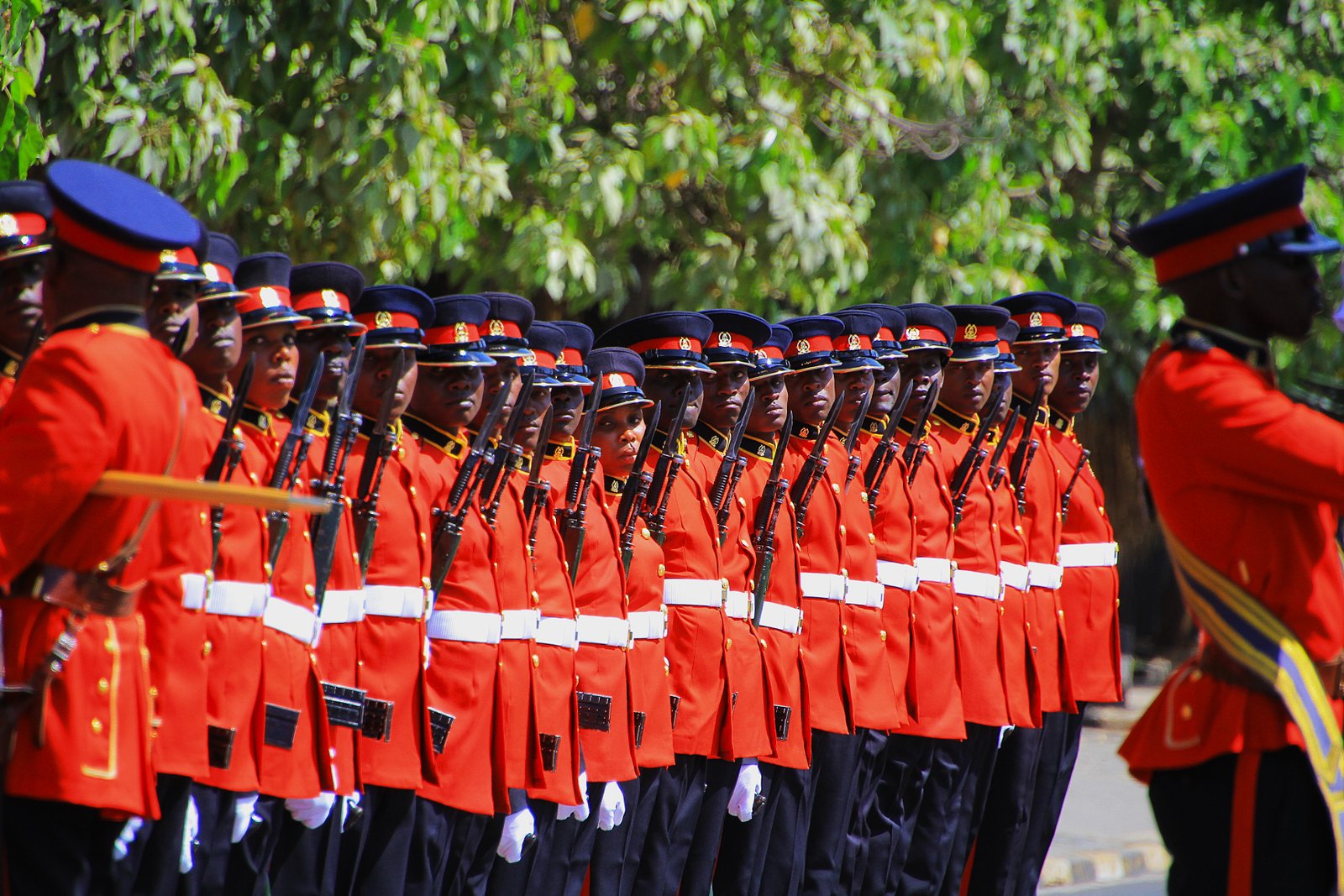 Kenya Defence Forces