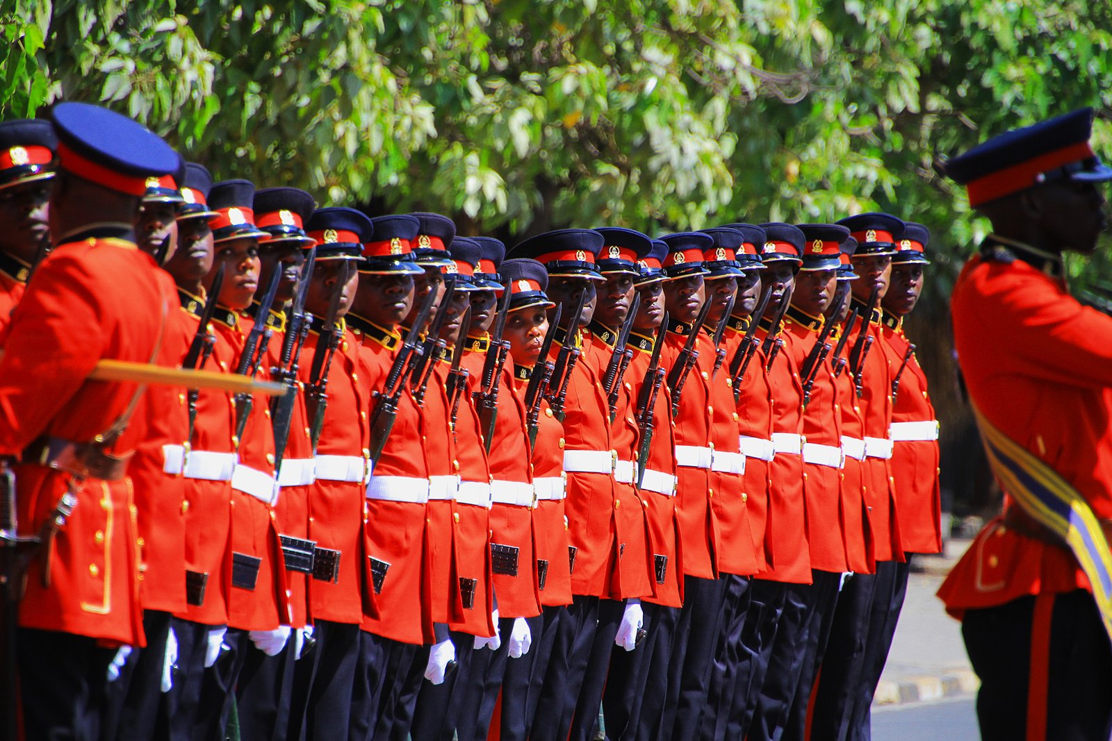 Kenya Defence Forces