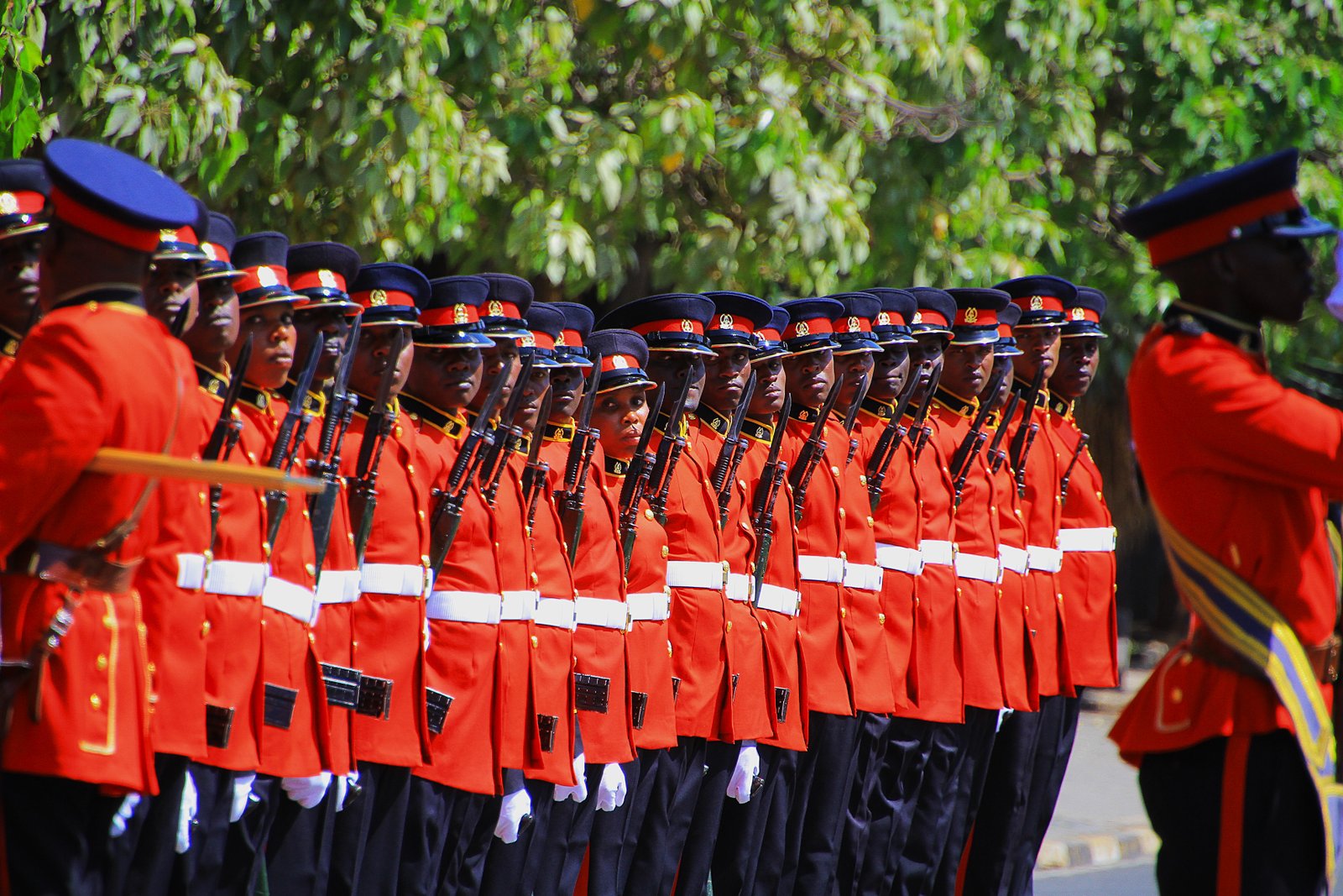 Kenya Defence Forces