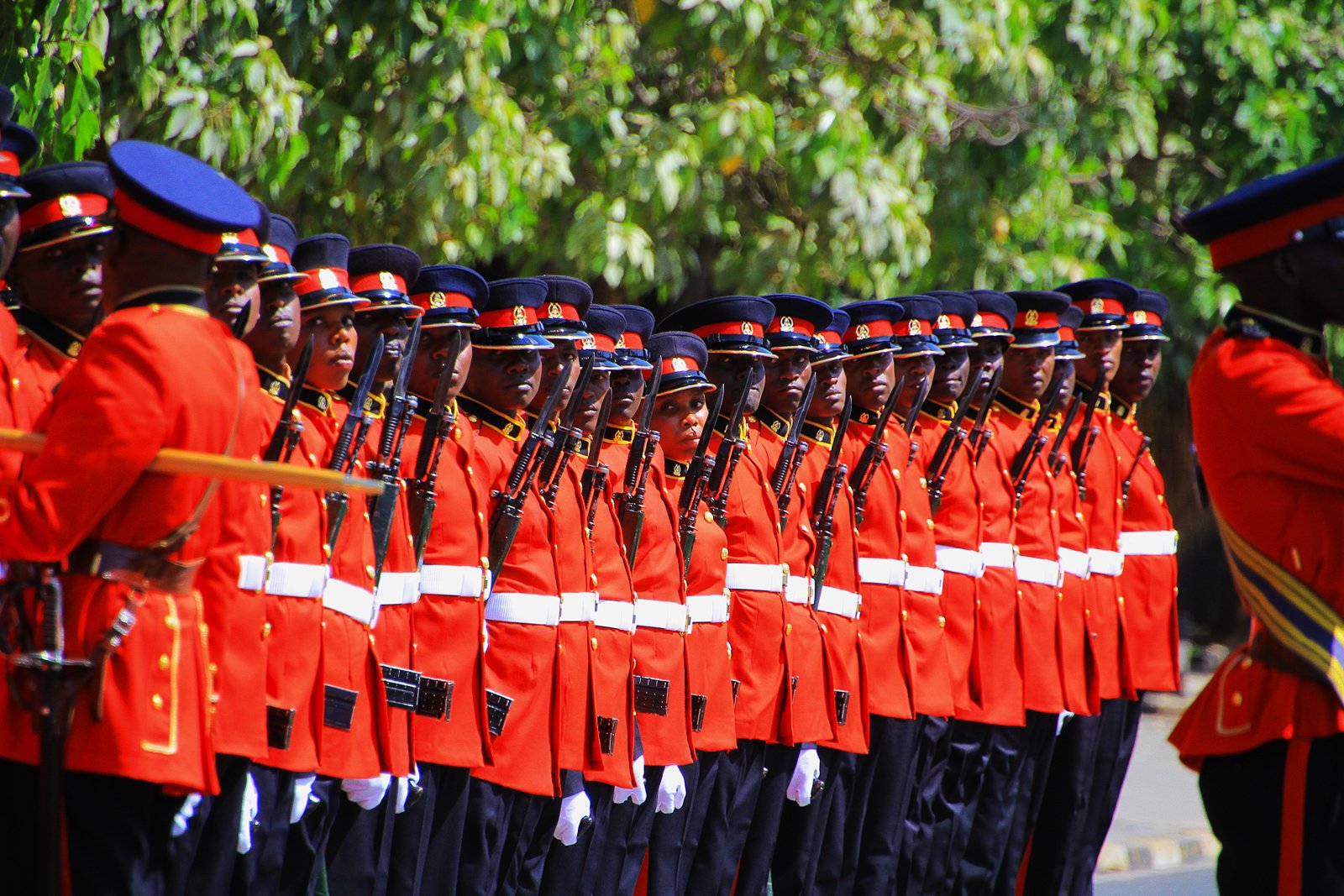 Kenya Defence Forces
